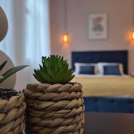 ゲストハウス Central Inn Brasov